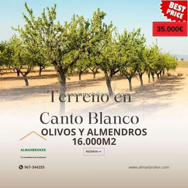 Parcela Rustica en Venta Almansa Castilla La Mancha