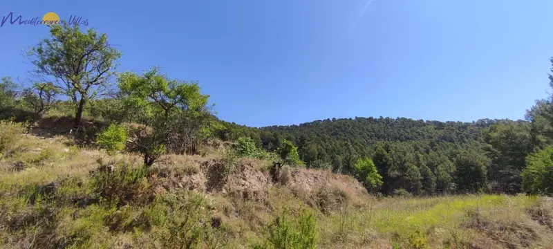 Terreno 106 Hectareas Denia Ideal Caza Apicultura