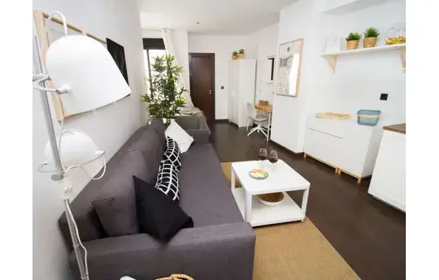 Estudio en Málaga Centro: Ideal Parejas y Amigos