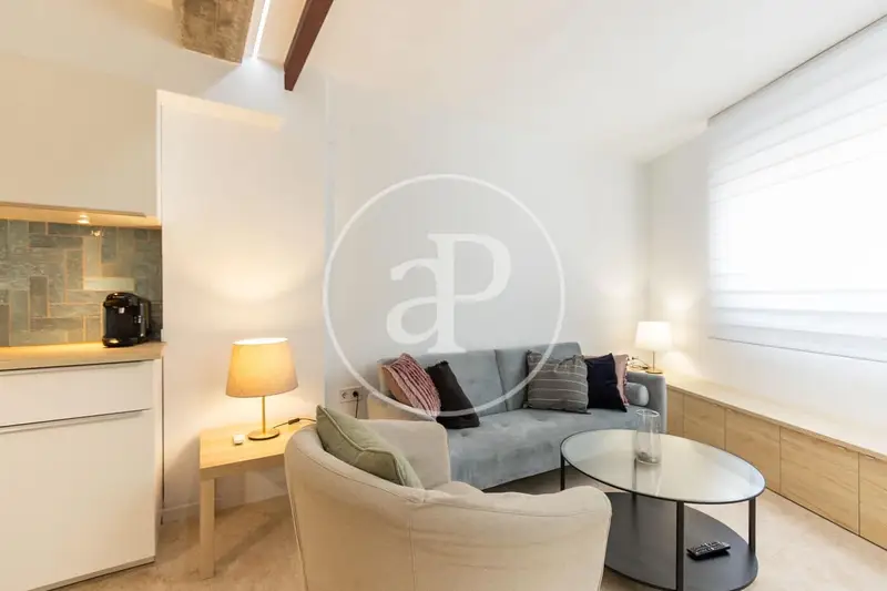 Apartamento en Alquiler Valencia Arrancapins 1 Dormitorio Amueblado Terraza