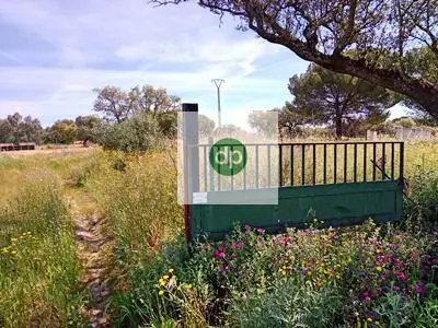 Casa en venta en Parcela de 5000m2 con Piscina y Barbacoa