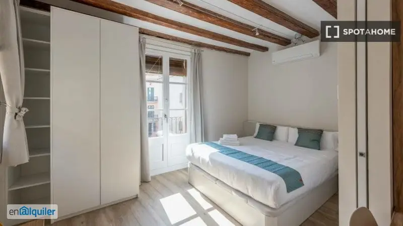 Apartamento 1 Dormitorio El Gòtic Barcelona Profesionales Estudiantes