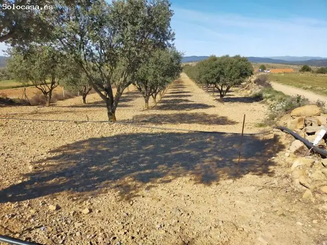 Fincas Rusticas Castellon Barracas Carrasca Trufera