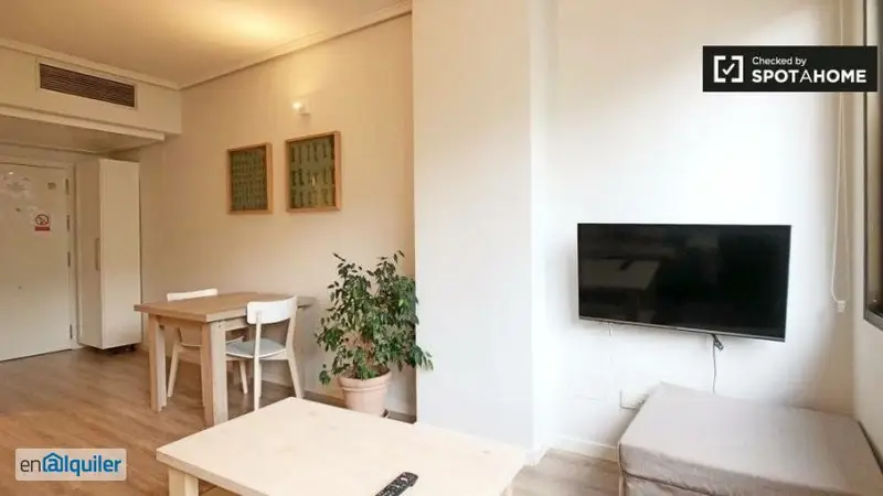 Apartamento con Encanto en Madrid: Ideal para Profesionales
