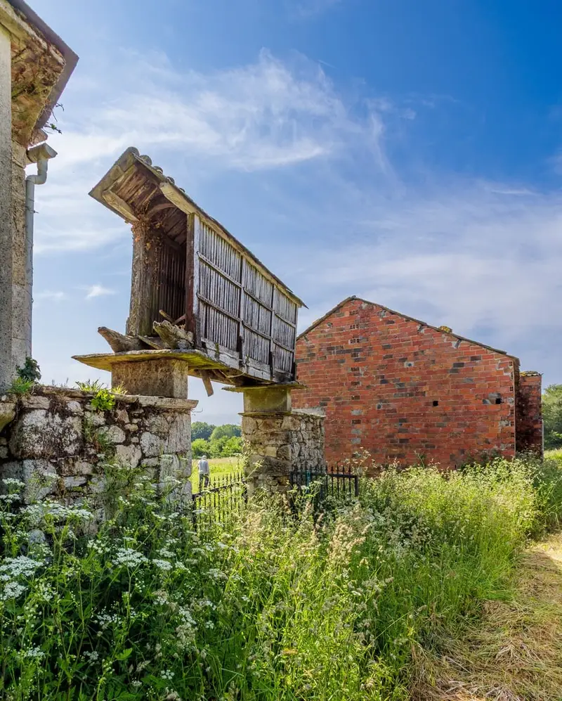Finca Rustica en Venta cerca de Vilalba Lugo