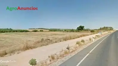 Venta  de Finca de regadío en Huelva