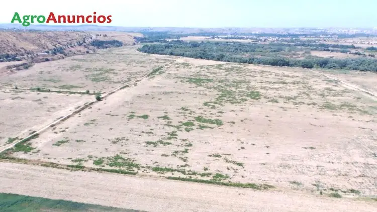 Venta  de Finca de regadío de vega en Madrid