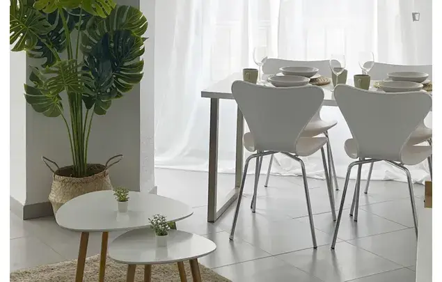 Alquiler Apartamento 3 Dormitorios Alicante Coliving