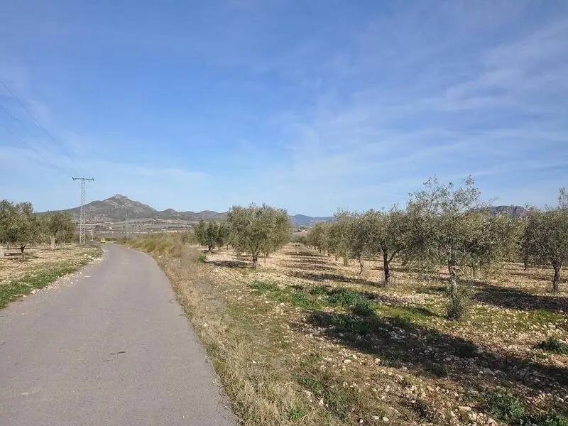 Terreno Edificable 15000m2 Salinas Alicante Agua Electricidad Vistas