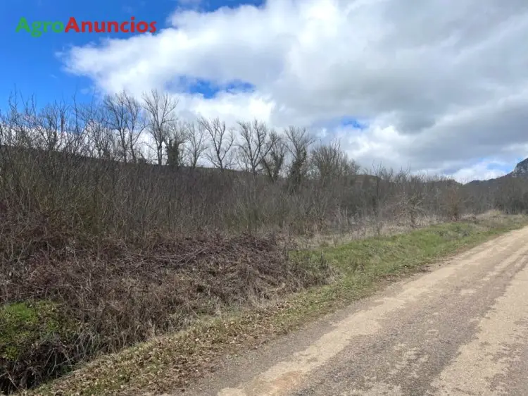 Venta  de Finca rústica en Burgos