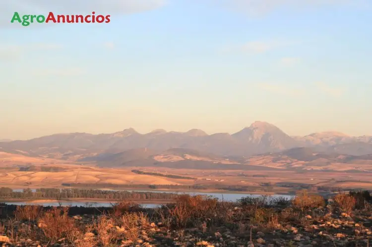 Venta  de Finca de regadío en Cádiz