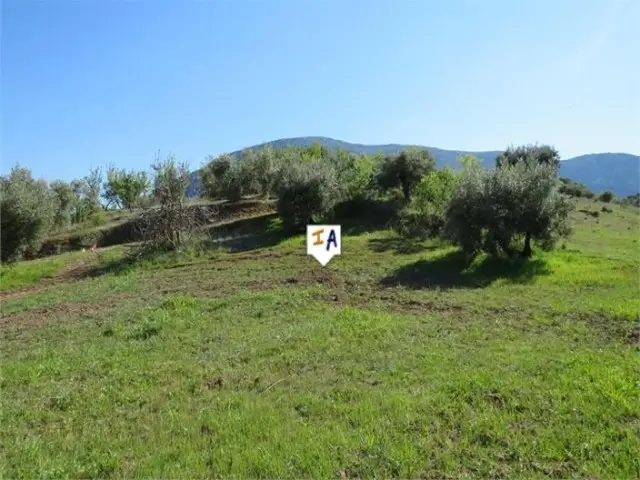 Terreno en Venta Las Casillas: 3600m2, Vistas Montaña, Olivos