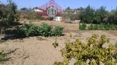 Finca rústica en venta en Gibraleón