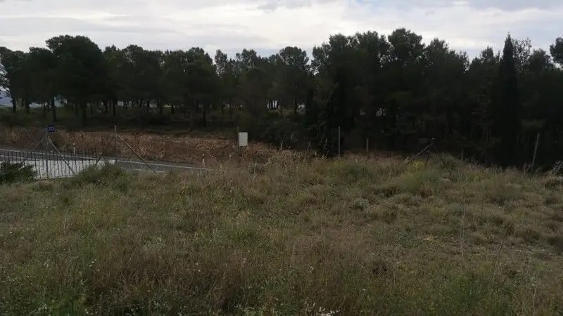 Parcela en Venta Xixona Alicante Cerca CV 800
