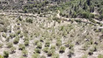 Finca Rustica en Venta cerca Les Borges Blanques
