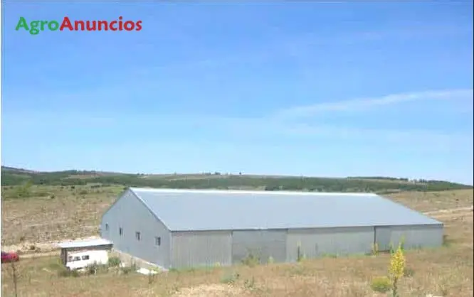 Venta  de Finca rústica con nave industrial en Segovia