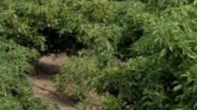 Finca Rustica en Venta Puntalon 7 Dormitorios 4 Banos Piscina