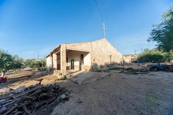 Chalet en Crevillente con terreno de 23000m2 y edificio de 280m2