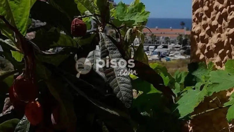 Casa en Torrox Costa 80m2 3 dormitorios parcela 1187m2