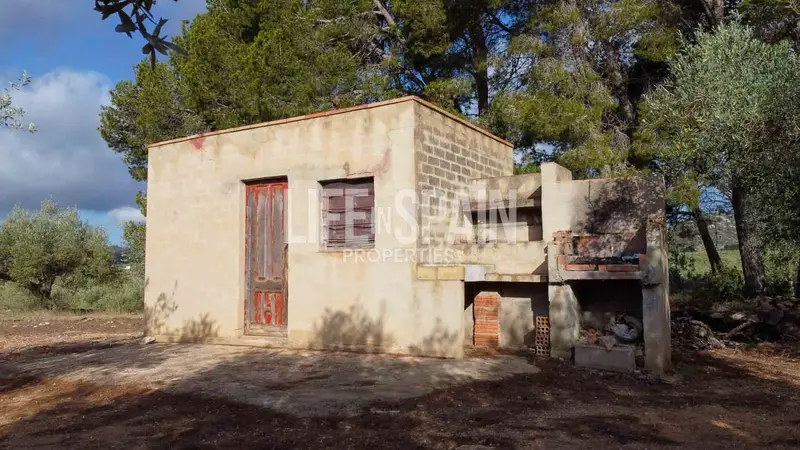Finca Rustica con Olivos en Tortosa Tarragona