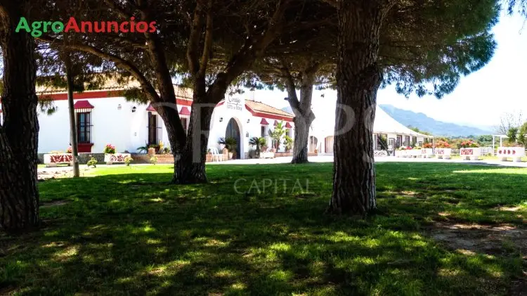 Venta  de Finca ganadera y residencial en Cádiz