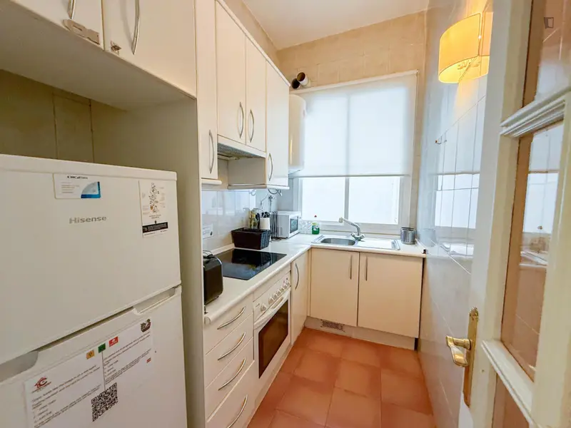 Apartamento con 1 Dormitorio en Chueca Madrid