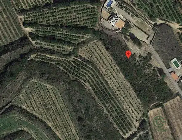 Terreno Agricola 6669m2 Montroy Costera de Anton