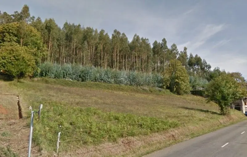 Venta Terreno Pravia 1770m2 Finca Edificable