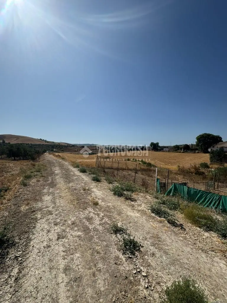 Solar Agricola en Venta Espera 25000m2