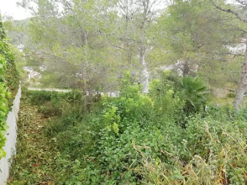 Venta Parcela 491m2 Canyelles Cerca de la Playa