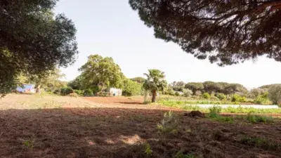 Finca Rustica en Venta Costa de la Luz