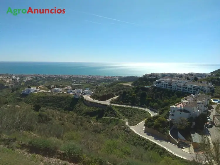 Venta  de Finca de mangos en Málaga