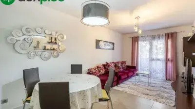 Piso en venta Campus de la Salud 3 habitaciones 2 baños garaje trastero