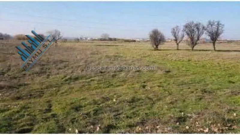 Parcela Rustica en Venta Algete Madrid