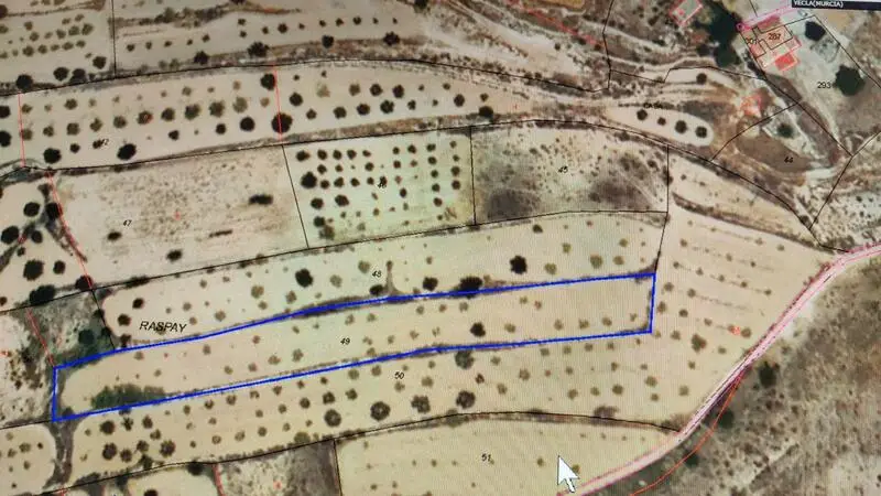 Parcela Rustica en Venta Yecla Murcia