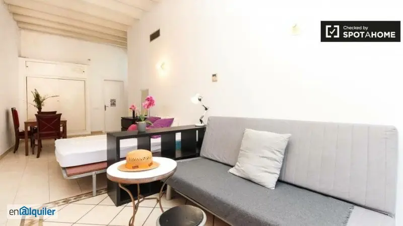 Estudio con Terraza cerca de La Rambla - Estudiantes