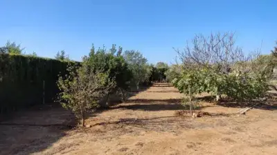 Casa Rustica en Venta Medina Sidonia