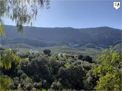 Cortijo Familiar en Rute 6 Dormitorios Gran Oportunidad