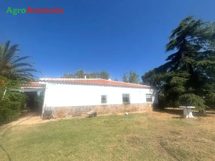 Venta Chalet Ciudad Real con Finca de 10000m2