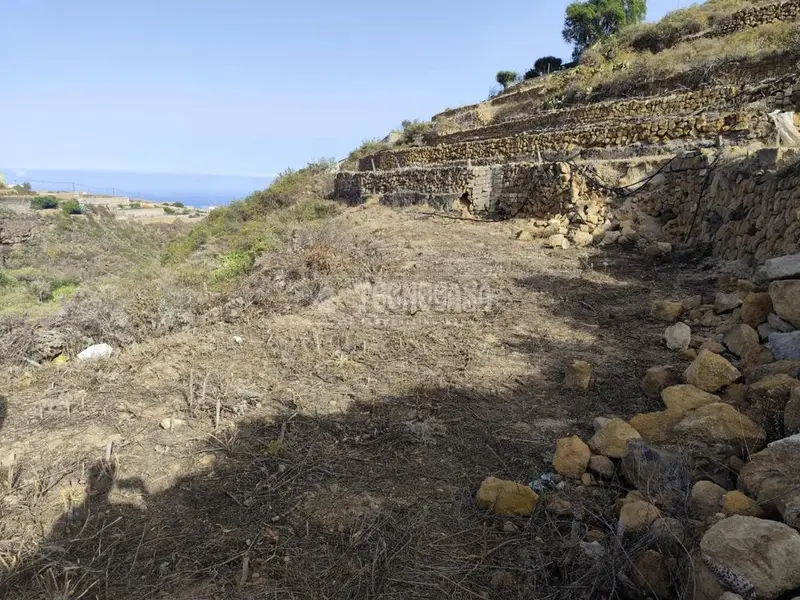 Terreno Rustico en Venta Güimar Tenerife