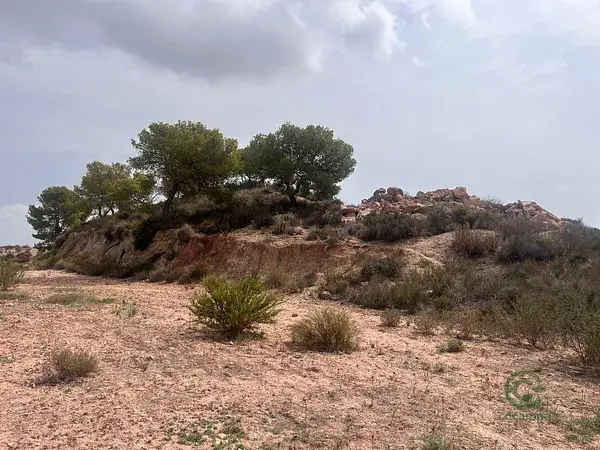 Parcela Regadío 12697m2 Alhama de Murcia