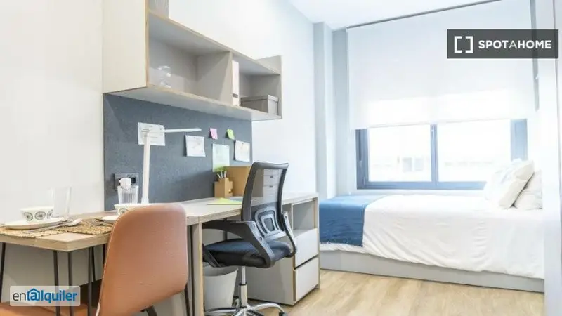 Estudio Premium Sevilla para Estudiantes
