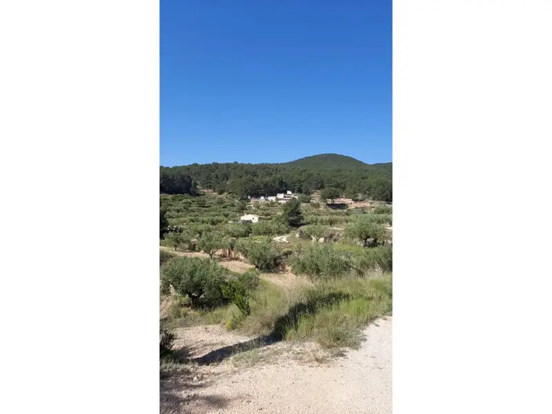 Chalet en Castalla 130m2 10152m2 de solar