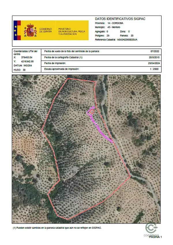 Parcela Rustica en Montoro con Olivos y Casa de Campo