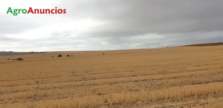 Venta  de Finca rústica en Badajoz