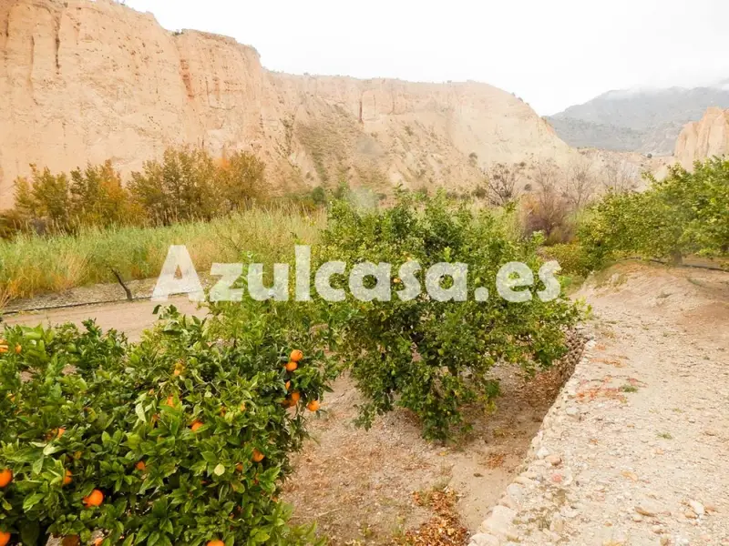 Venta Finca Rustica Jijona