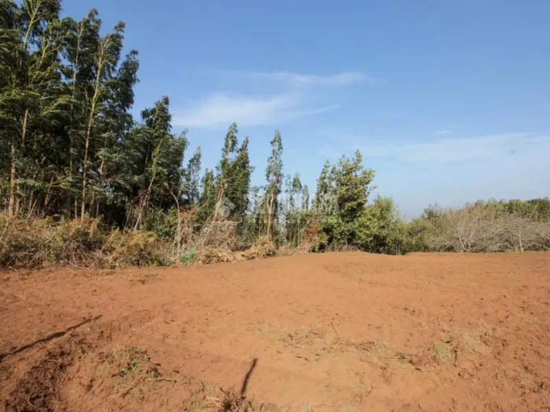 Terrenos en venta en San Cristóbal De La Laguna