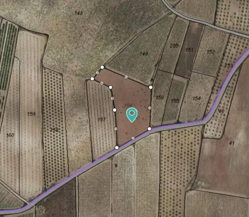 Terreno Rustico con Viñas en Pinoso Alicante