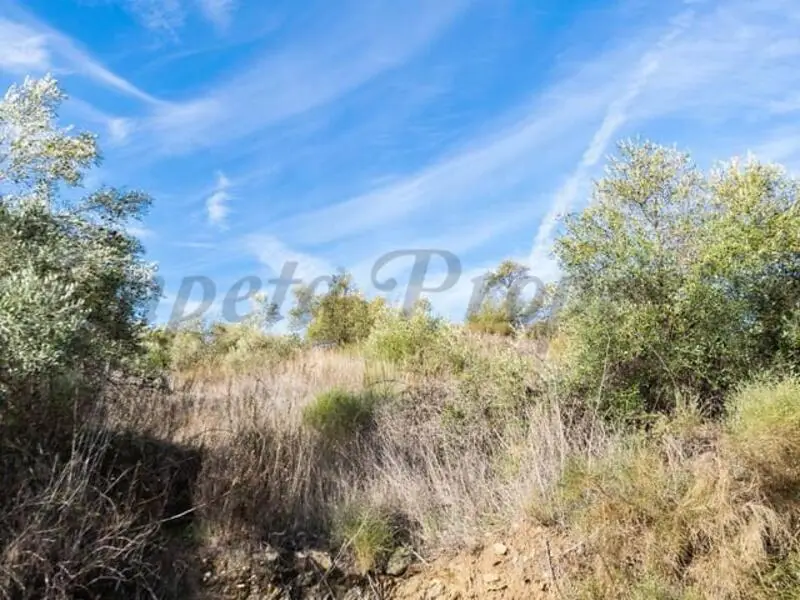 Parcela Rustica en Venta entre Competa y Torrox