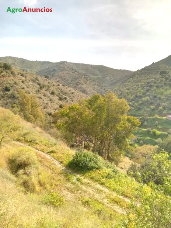 Venta  de Finca de recreo en Málaga